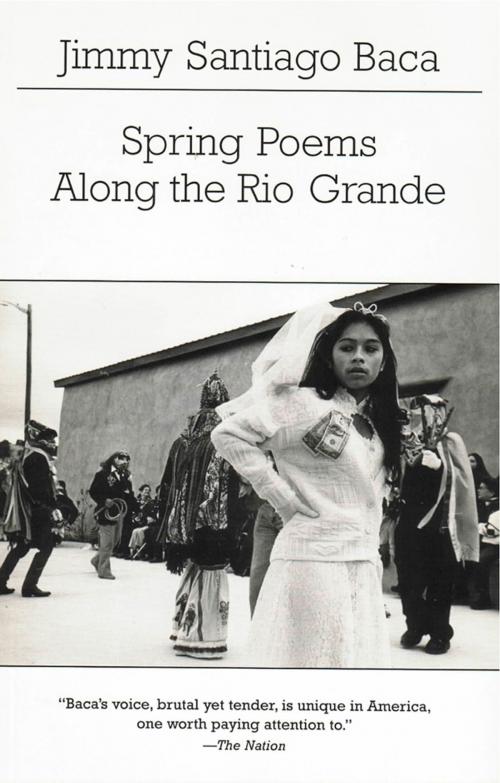 Cover of the book Spring Poems Along the Rio Grande by Jimmy Santiago Baca, New Directions