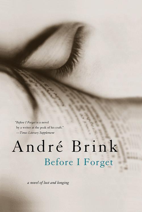 Cover of the book Before I Forget by Andre Brink, Sourcebooks