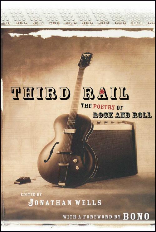 Cover of the book Third Rail by Jonathan Wells, MTV Books