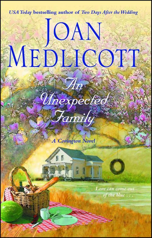 Cover of the book An Unexpected Family by Joan Medlicott, Pocket Books