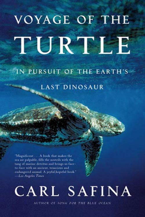 Cover of the book Voyage of the Turtle by Carl Safina, Henry Holt and Co.