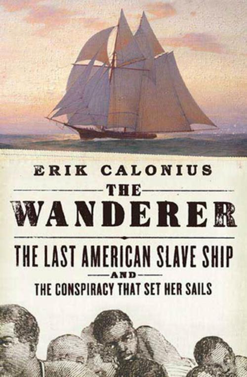 Cover of the book The Wanderer by Erik Calonius, St. Martin's Press