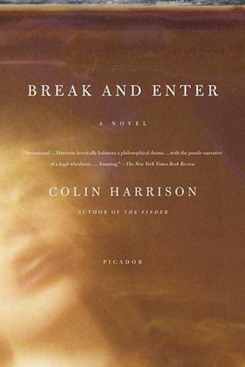 Cover of the book Break and Enter by Colin Harrison, Picador