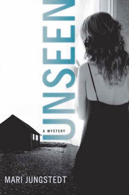 Cover of the book Unseen by Mari Jungstedt, St. Martin's Press