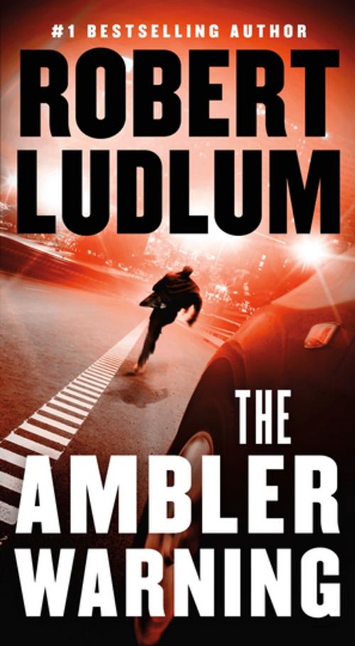 Cover of the book The Ambler Warning by Robert Ludlum, St. Martin's Press