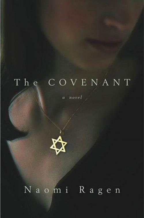 Cover of the book The Covenant by Naomi Ragen, St. Martin's Press
