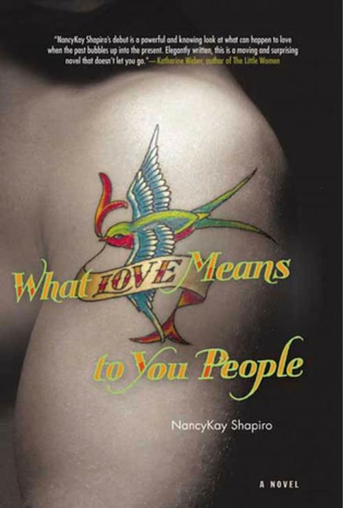 Cover of the book What Love Means to You People by Nancy Kay Shapiro, St. Martin's Press