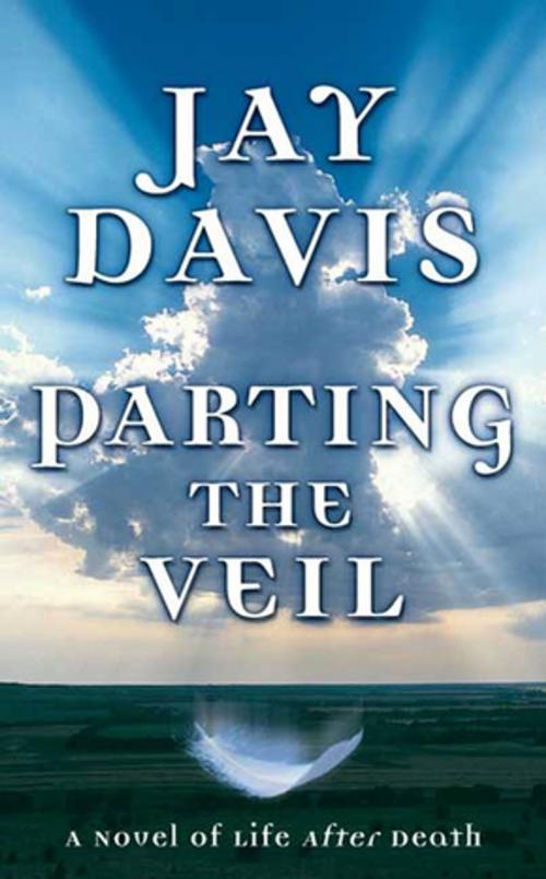 Cover of the book Parting the Veil by Jay Davis, Tom Doherty Associates