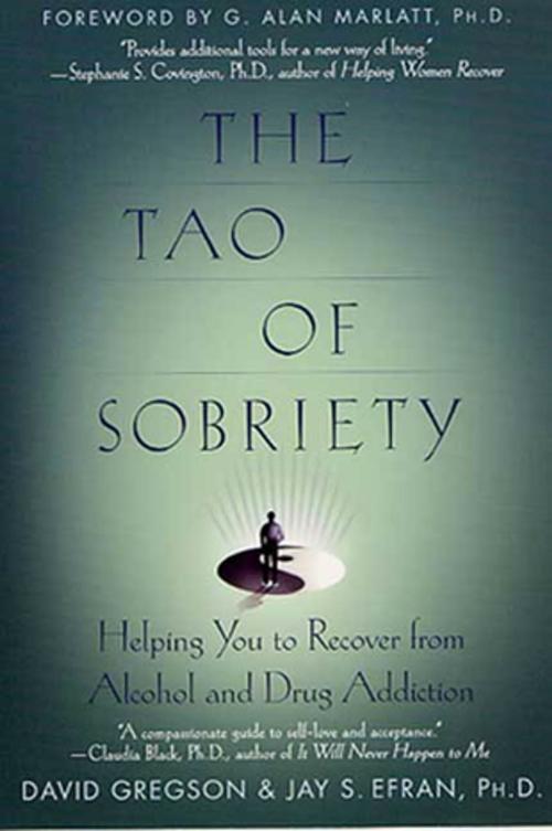 Cover of the book The Tao of Sobriety by David Gregson, Jay S. Efran, St. Martin's Press