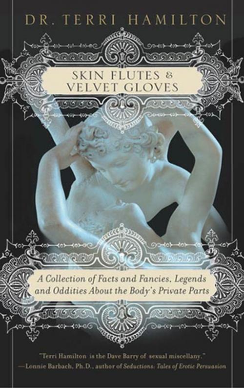 Cover of the book Skin Flutes & Velvet Gloves by Dr. Terri Hamilton, St. Martin's Press
