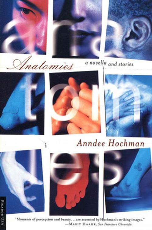 Cover of the book Anatomies by Anndee Hochman, Picador