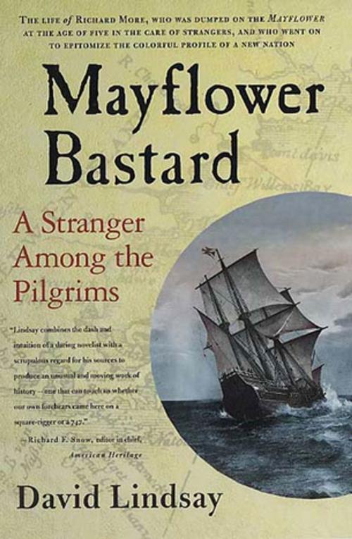 Cover of the book Mayflower Bastard by David Lindsay, St. Martin's Press
