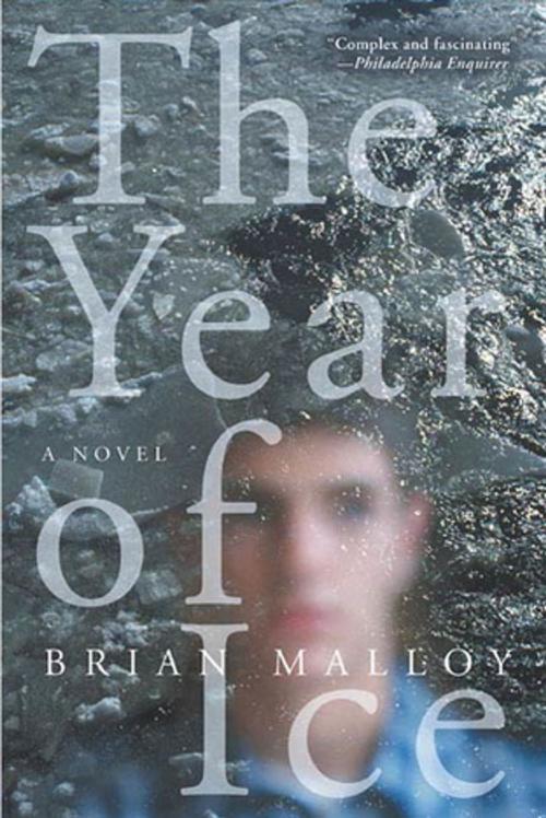 Cover of the book The Year of Ice by Brian Malloy, St. Martin's Press