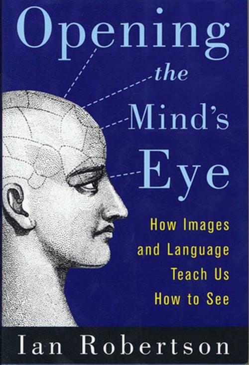 Cover of the book Opening the Mind's Eye by Ian Robertson, St. Martin's Press