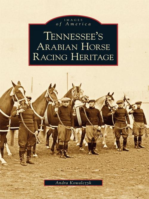 Cover of the book Tennessee's Arabian Horse Racing Heritage by Andra Kowalczyk, Arcadia Publishing Inc.