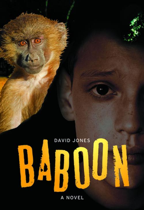 Cover of the book Baboon by David Jones, Annick Press