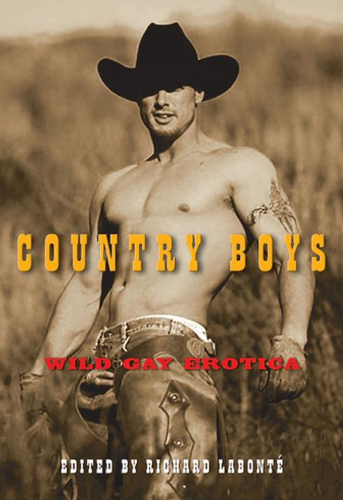 Cover of the book Country Boys by , Cleis Press