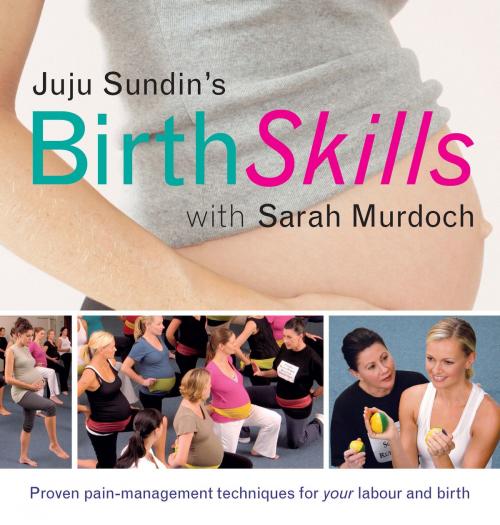 Cover of the book Birth Skills by Juju Sundin, Sarah Murdoch, Allen & Unwin