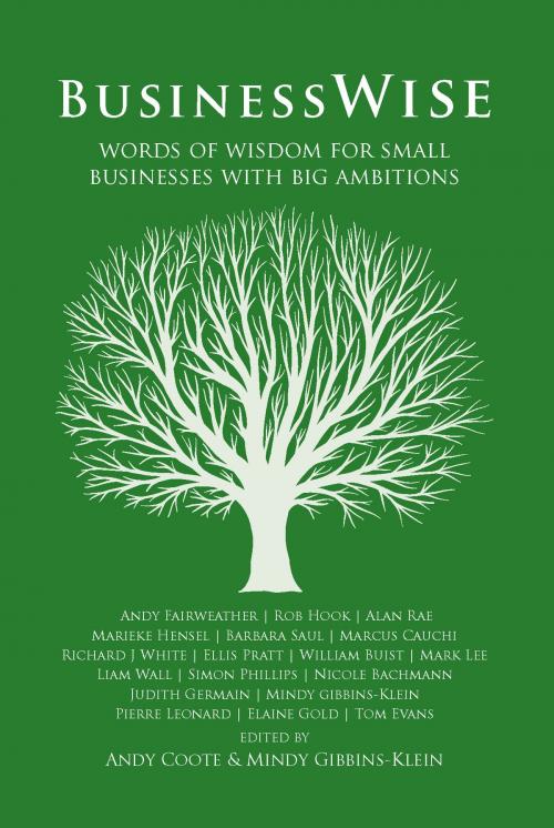 Cover of the book BusinessWise: Words of Wisdom for Small Businesses with Big Ambitions by , Panoma Press