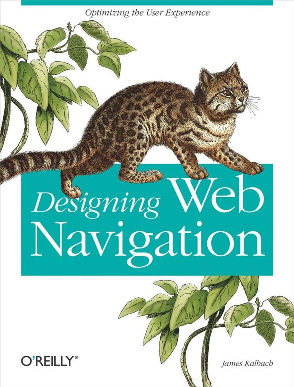 Big bigCover of Designing Web Navigation