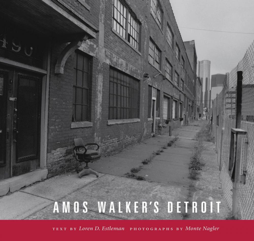 Big bigCover of Amos Walker's Detroit