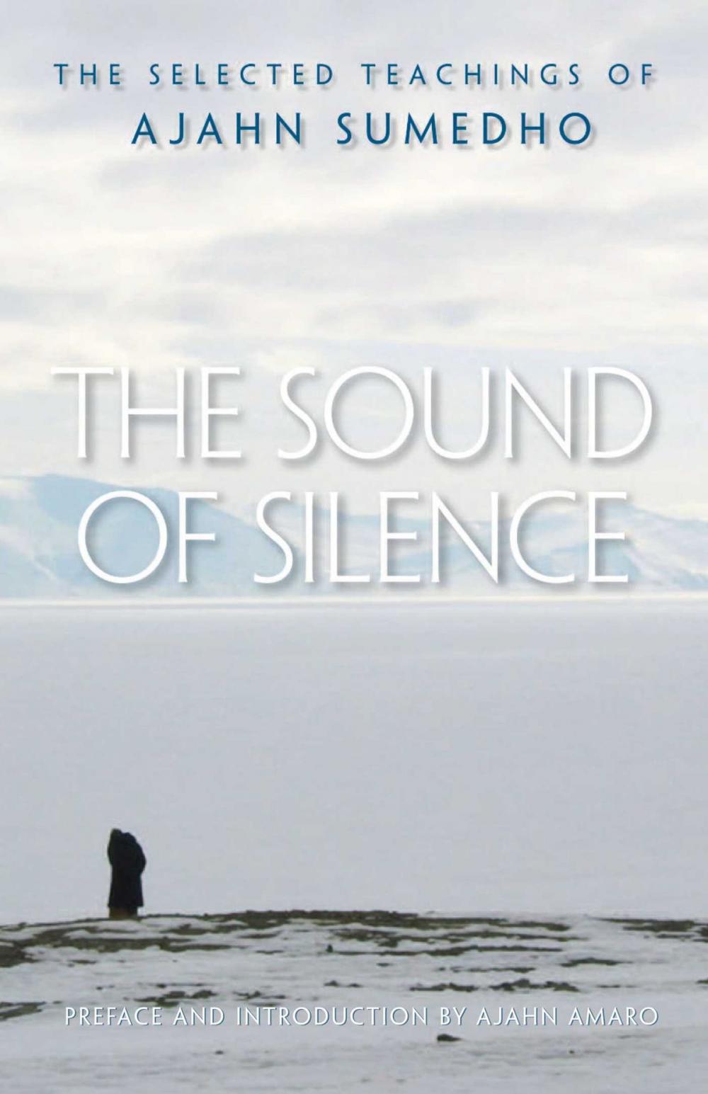 Big bigCover of The Sound of Silence