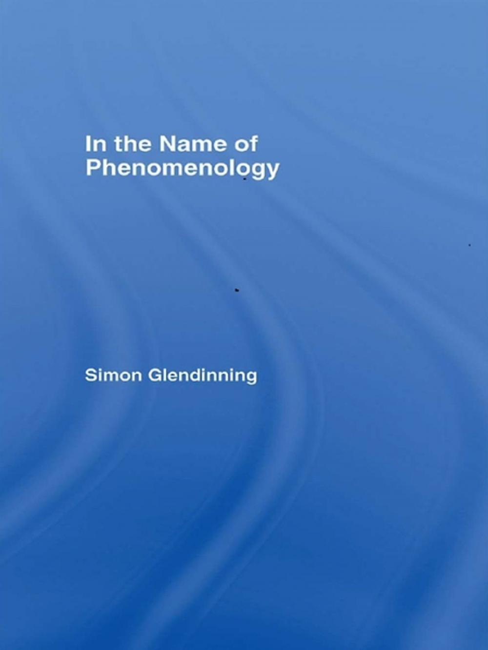Big bigCover of In the Name of Phenomenology