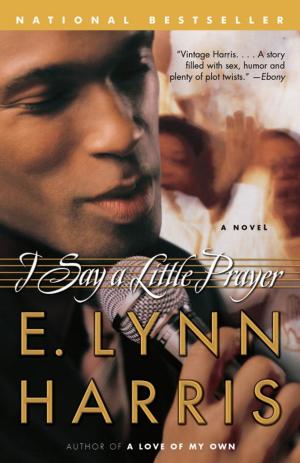 Cover of the book I Say a Little Prayer by Chester Himes