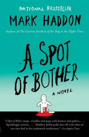 Cover of the book A Spot of Bother by Christopher Reich