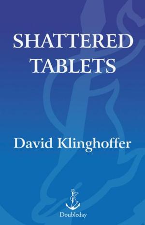 Cover of the book Shattered Tablets by Marlo Schalesky