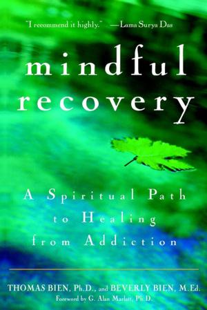 Book cover of Mindful Recovery