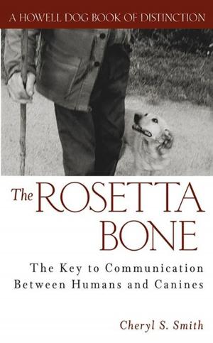 Book cover of The Rosetta Bone