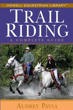 Cover of the book Trail Riding by Rabbi Elyse Goldstein