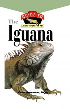 Cover of the book Iguana by Elizabeth Chasco
