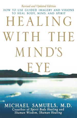 Cover of the book Healing with the Mind's Eye by William D. Miner