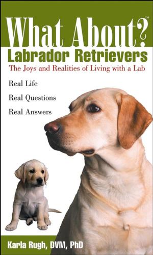 Cover of the book What About Labrador Retrievers by Rabbi Elliot N. Dorff