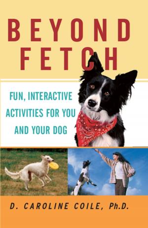 Book cover of Beyond Fetch