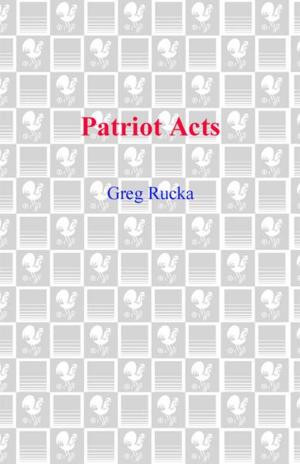 Cover of the book Patriot Acts by Lisa See