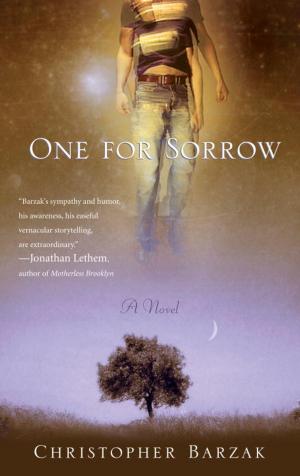 Cover of the book One For Sorrow by Francine Segan