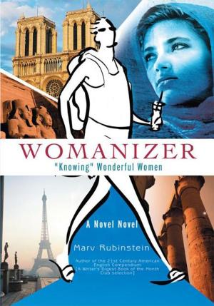 Book cover of Womanizer