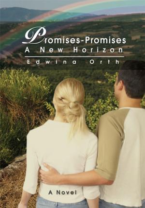 Cover of the book Promises-Promises by Michelle Redonnet