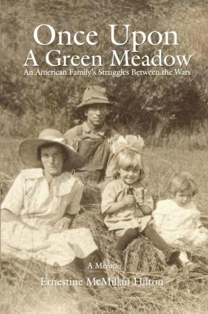 bigCover of the book Once Upon a Green Meadow by 