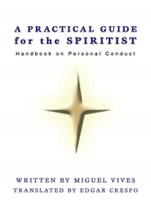 Cover of the book A Practical Guide for the Spiritist by Dennis A. McIntyre