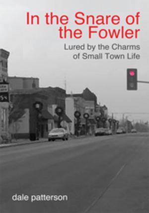 Cover of the book In the Snare of the Fowler by Kent Killmer