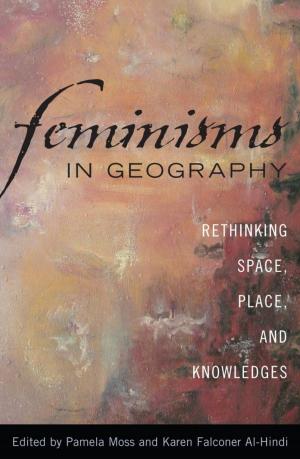 Cover of the book Feminisms in Geography by Craig A. Satterlee