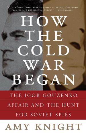 Cover of the book How the Cold War Began by Richard Brookhiser