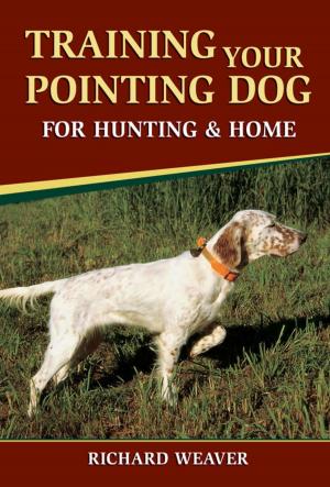 Cover of the book Training Your Pointing Dog for Hunting & Home by Cynthia Anderson