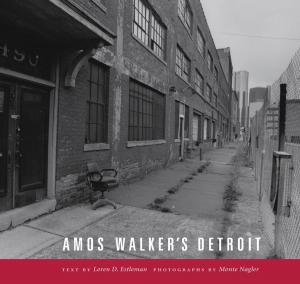 Cover of the book Amos Walker's Detroit by Matt Yockey