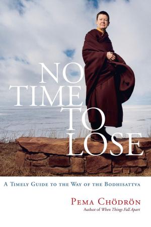 Cover of the book No Time to Lose by Christina Feldman