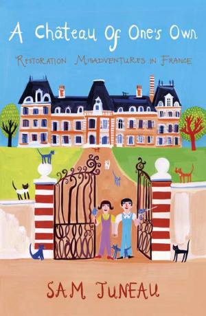 Cover of the book A Chateau of One's Own: Restoration Misadventures in France by Tamsin King